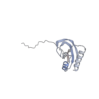 23096_7l08_AE_v1-1
Cryo-EM structure of the human 55S mitoribosome-RRFmt complex.