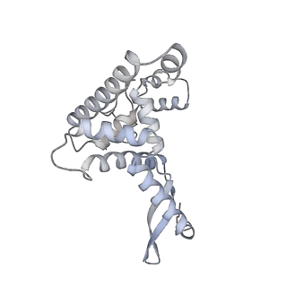 23096_7l08_AF_v1-1
Cryo-EM structure of the human 55S mitoribosome-RRFmt complex.