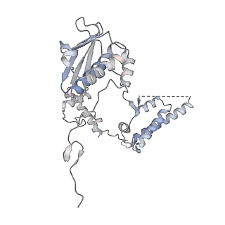 23096_7l08_AG_v1-1
Cryo-EM structure of the human 55S mitoribosome-RRFmt complex.