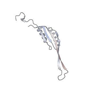 23096_7l08_AH_v1-1
Cryo-EM structure of the human 55S mitoribosome-RRFmt complex.