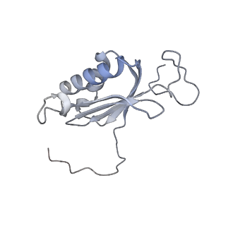23096_7l08_AI_v1-1
Cryo-EM structure of the human 55S mitoribosome-RRFmt complex.