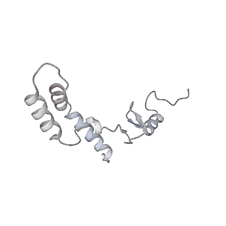 23096_7l08_AK_v1-1
Cryo-EM structure of the human 55S mitoribosome-RRFmt complex.