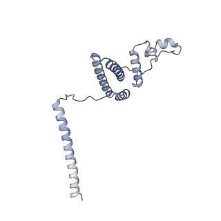 23096_7l08_AL_v1-1
Cryo-EM structure of the human 55S mitoribosome-RRFmt complex.