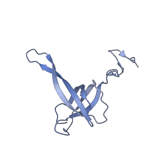 23096_7l08_AN_v1-1
Cryo-EM structure of the human 55S mitoribosome-RRFmt complex.