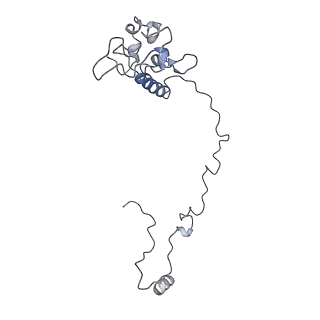 23096_7l08_AO_v1-1
Cryo-EM structure of the human 55S mitoribosome-RRFmt complex.
