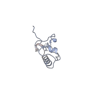 23096_7l08_AP_v1-1
Cryo-EM structure of the human 55S mitoribosome-RRFmt complex.