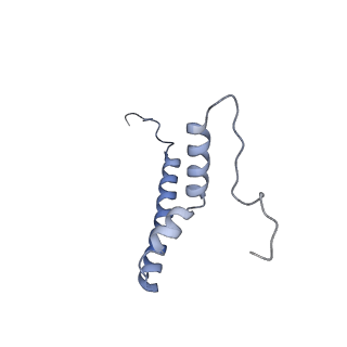 23096_7l08_AQ_v1-1
Cryo-EM structure of the human 55S mitoribosome-RRFmt complex.