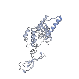 23096_7l08_AR_v1-1
Cryo-EM structure of the human 55S mitoribosome-RRFmt complex.