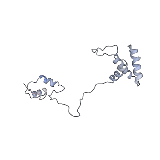 23096_7l08_AS_v1-1
Cryo-EM structure of the human 55S mitoribosome-RRFmt complex.