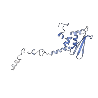 23096_7l08_AT_v1-1
Cryo-EM structure of the human 55S mitoribosome-RRFmt complex.