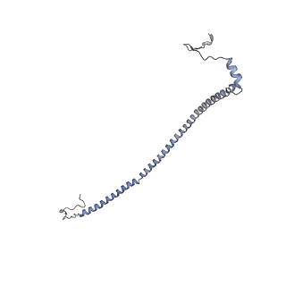 23096_7l08_AU_v1-1
Cryo-EM structure of the human 55S mitoribosome-RRFmt complex.