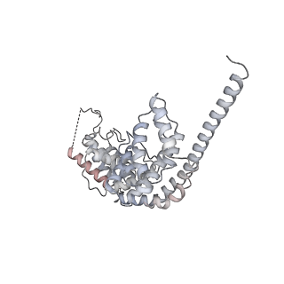 23096_7l08_AV_v1-1
Cryo-EM structure of the human 55S mitoribosome-RRFmt complex.