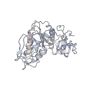 23096_7l08_AX_v1-1
Cryo-EM structure of the human 55S mitoribosome-RRFmt complex.