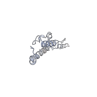 23096_7l08_AY_v1-1
Cryo-EM structure of the human 55S mitoribosome-RRFmt complex.