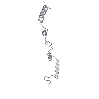 23096_7l08_AZ_v1-1
Cryo-EM structure of the human 55S mitoribosome-RRFmt complex.