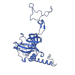 23096_7l08_E_v1-1
Cryo-EM structure of the human 55S mitoribosome-RRFmt complex.