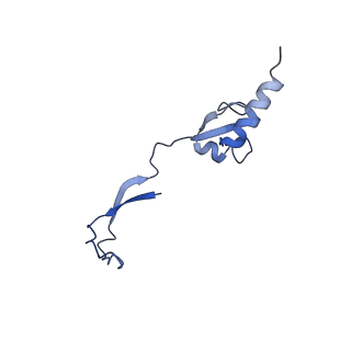 23096_7l08_H_v1-1
Cryo-EM structure of the human 55S mitoribosome-RRFmt complex.