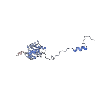 23096_7l08_I_v1-1
Cryo-EM structure of the human 55S mitoribosome-RRFmt complex.