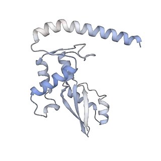 23096_7l08_J_v1-1
Cryo-EM structure of the human 55S mitoribosome-RRFmt complex.
