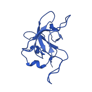 23096_7l08_L_v1-1
Cryo-EM structure of the human 55S mitoribosome-RRFmt complex.