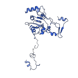 23096_7l08_M_v1-1
Cryo-EM structure of the human 55S mitoribosome-RRFmt complex.
