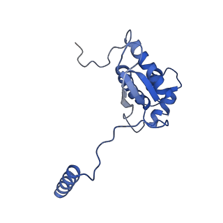 23096_7l08_O_v1-1
Cryo-EM structure of the human 55S mitoribosome-RRFmt complex.