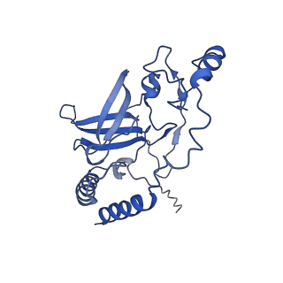 23096_7l08_Q_v1-1
Cryo-EM structure of the human 55S mitoribosome-RRFmt complex.