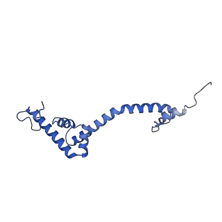 23096_7l08_R_v1-1
Cryo-EM structure of the human 55S mitoribosome-RRFmt complex.