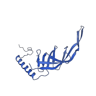 23096_7l08_S_v1-1
Cryo-EM structure of the human 55S mitoribosome-RRFmt complex.