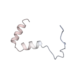 23096_7l08_TA_v1-1
Cryo-EM structure of the human 55S mitoribosome-RRFmt complex.