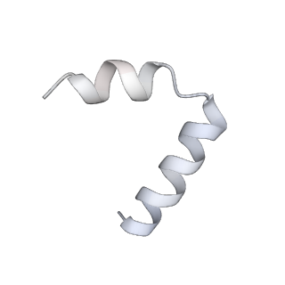 23096_7l08_TB_v1-1
Cryo-EM structure of the human 55S mitoribosome-RRFmt complex.