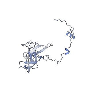 23096_7l08_V_v1-1
Cryo-EM structure of the human 55S mitoribosome-RRFmt complex.
