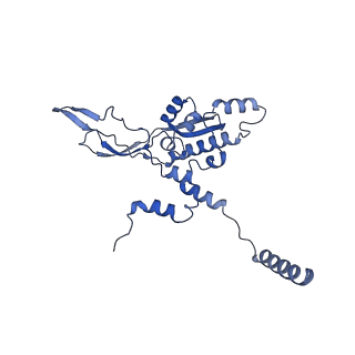 23096_7l08_X_v1-1
Cryo-EM structure of the human 55S mitoribosome-RRFmt complex.