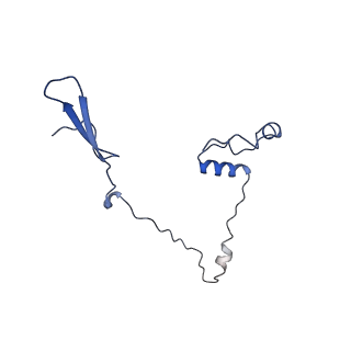 23096_7l08_a_v1-1
Cryo-EM structure of the human 55S mitoribosome-RRFmt complex.