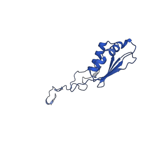 23096_7l08_b_v1-1
Cryo-EM structure of the human 55S mitoribosome-RRFmt complex.