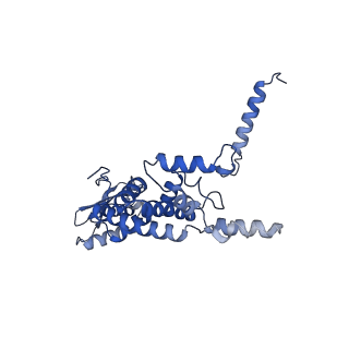 23096_7l08_c_v1-1
Cryo-EM structure of the human 55S mitoribosome-RRFmt complex.
