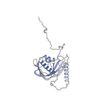 23096_7l08_d_v1-1
Cryo-EM structure of the human 55S mitoribosome-RRFmt complex.
