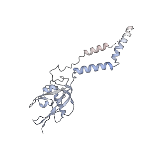 23096_7l08_e_v1-1
Cryo-EM structure of the human 55S mitoribosome-RRFmt complex.