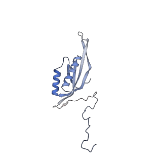 23096_7l08_f_v1-1
Cryo-EM structure of the human 55S mitoribosome-RRFmt complex.