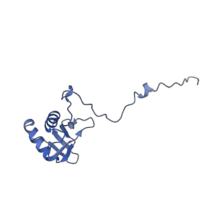 23096_7l08_g_v1-1
Cryo-EM structure of the human 55S mitoribosome-RRFmt complex.