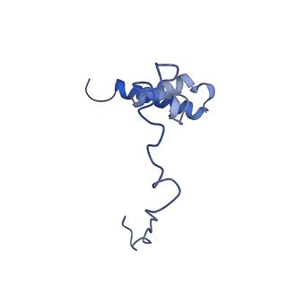 23096_7l08_i_v1-1
Cryo-EM structure of the human 55S mitoribosome-RRFmt complex.