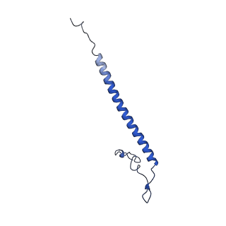 23096_7l08_j_v1-1
Cryo-EM structure of the human 55S mitoribosome-RRFmt complex.