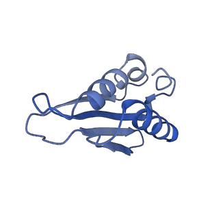 23096_7l08_k_v1-1
Cryo-EM structure of the human 55S mitoribosome-RRFmt complex.