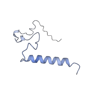 23096_7l08_l_v1-1
Cryo-EM structure of the human 55S mitoribosome-RRFmt complex.