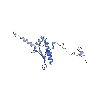 23096_7l08_p_v1-1
Cryo-EM structure of the human 55S mitoribosome-RRFmt complex.