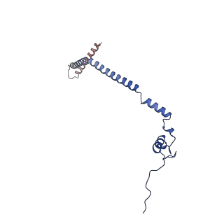 23096_7l08_q_v1-1
Cryo-EM structure of the human 55S mitoribosome-RRFmt complex.