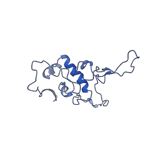 23096_7l08_r_v1-1
Cryo-EM structure of the human 55S mitoribosome-RRFmt complex.
