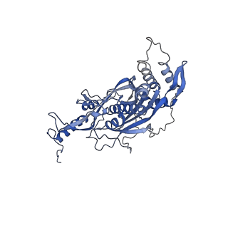 23096_7l08_s_v1-1
Cryo-EM structure of the human 55S mitoribosome-RRFmt complex.