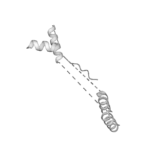 23096_7l08_u_v1-1
Cryo-EM structure of the human 55S mitoribosome-RRFmt complex.