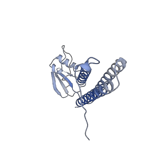 23096_7l08_z_v1-1
Cryo-EM structure of the human 55S mitoribosome-RRFmt complex.